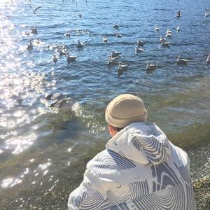 免费A片大片av观看不卡
